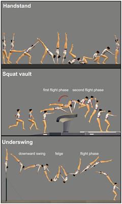 Unveiling cognitive aspects and accuracy of diagnostic judgments in physical education teachers assessing different tasks in gymnastics